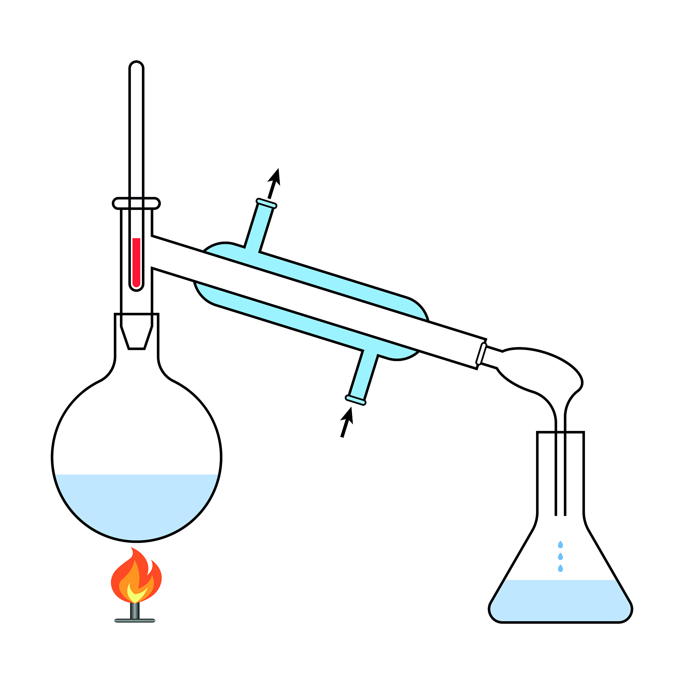 shutterstock_2396164445 2.jpg