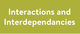 9. Interactions and Interdependancies Mobile.png