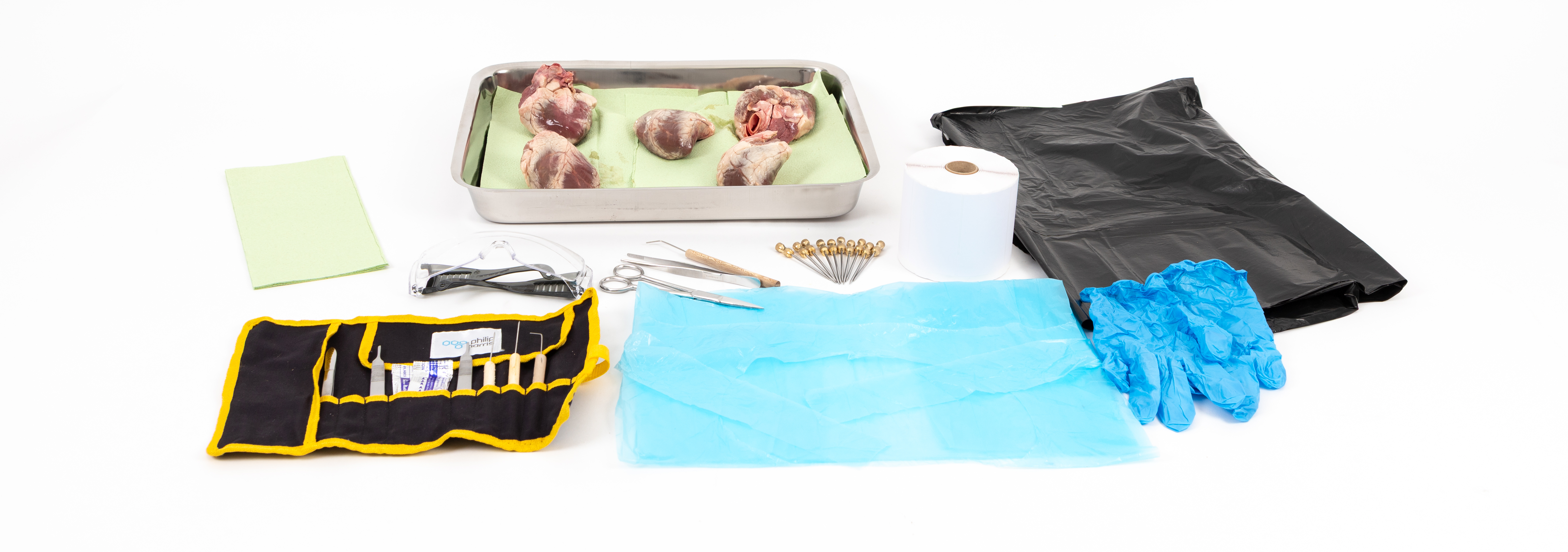 Biology 5A Dissection of animal mass transport system.jpg