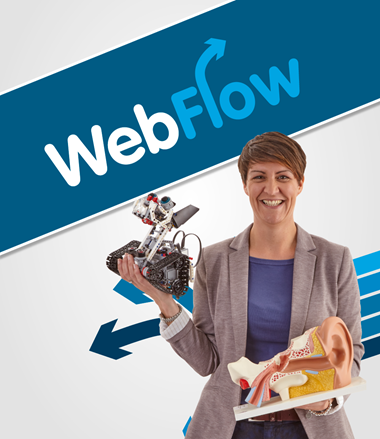 Webflow Online Authorisation Solution