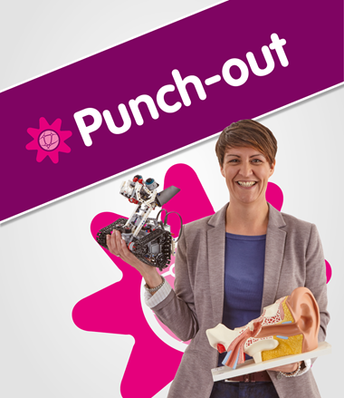 Punch-out Integration