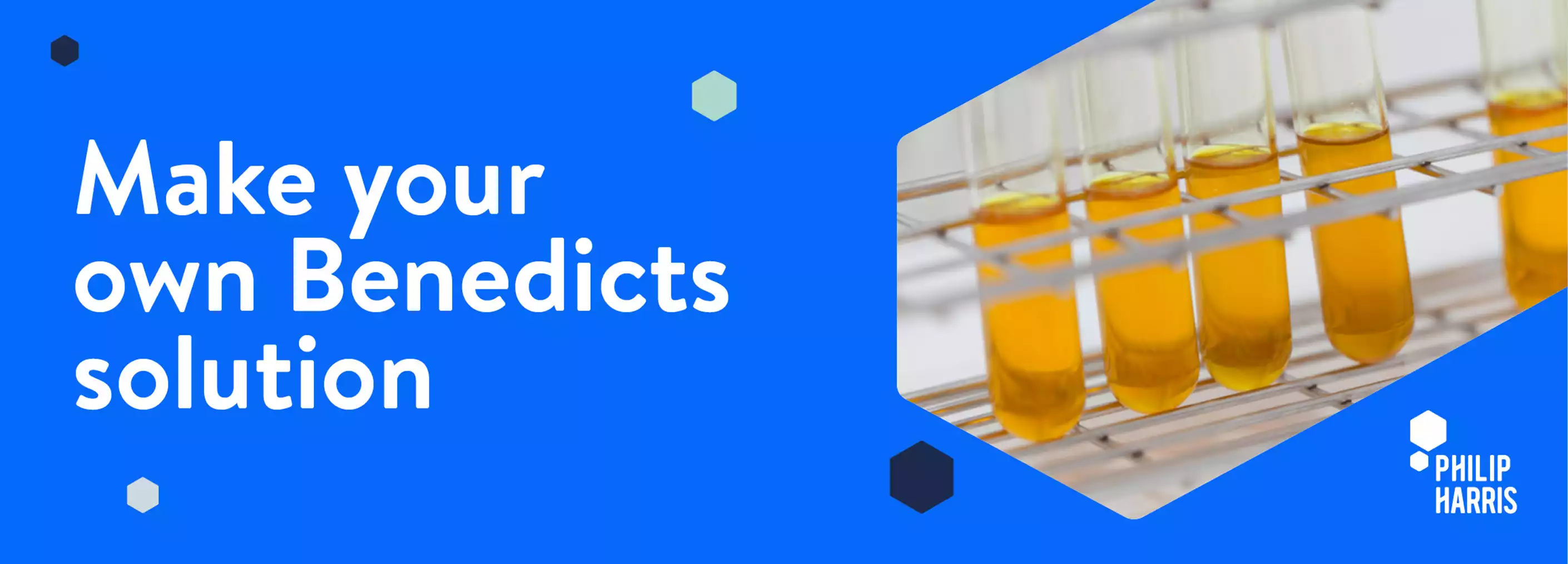 Make your own benedicts solution image
