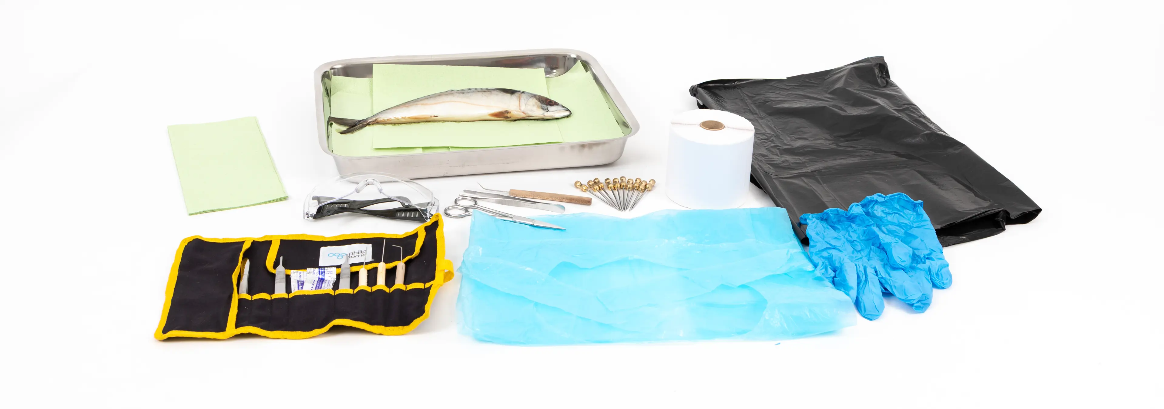 Biology 5b Dissection of animal gas exchange system.jpg