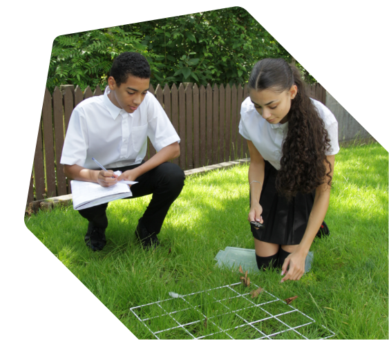 1. Environmental Science Image Mobile.png