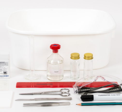 9. Photosynthetic pigments.png