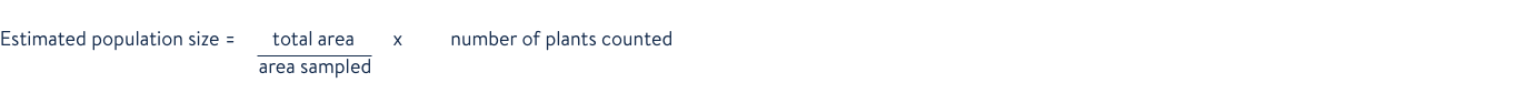 microsoftteams-image-2.png