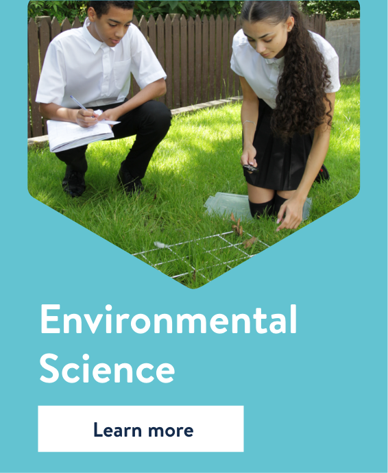 13. Environmental Science Mobile.png