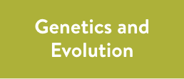 6. Genetics and Evolution Mobile.png