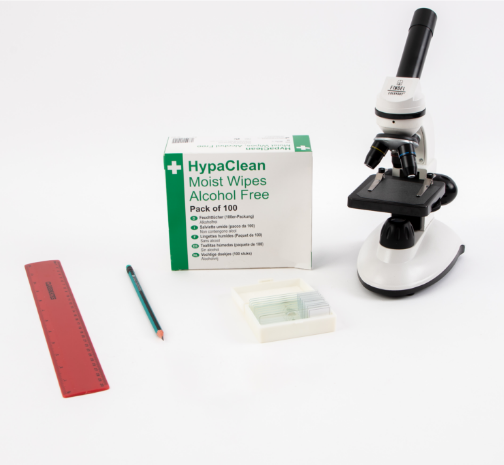 small-biology-using-a-light-microscope-1.png