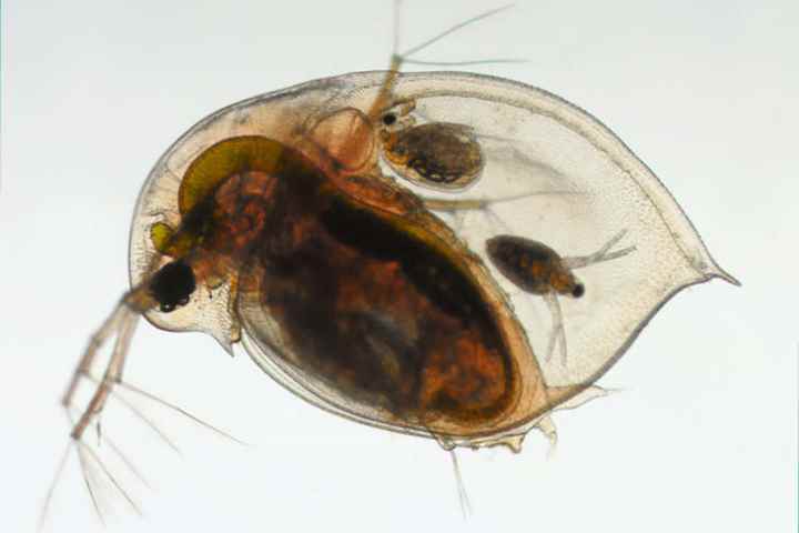 Biology open day inspiration