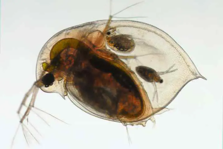 Biology open day inspiration