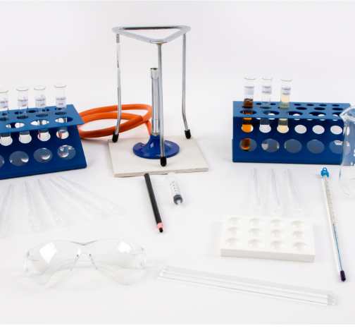 small-biology-effect-of-ph-on-amylase-1.png