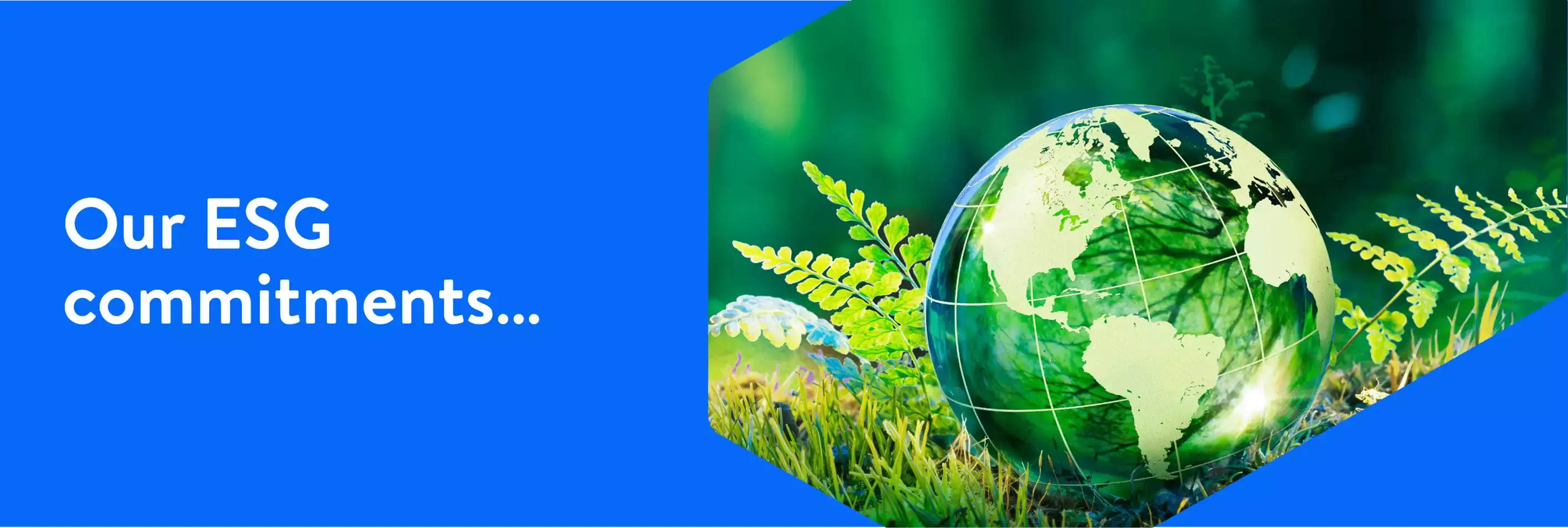 1-our-esg-commitments-min.webp (1)