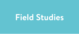 Field Studies Mobile.png