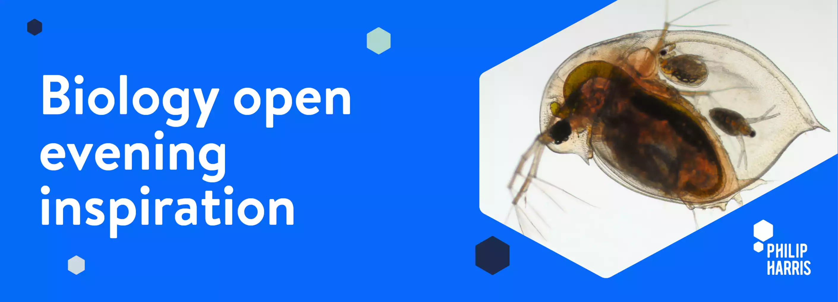 Biology open evening inspiration