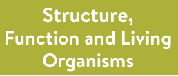 3. Structure, function and Living Organsisms Mobile.png