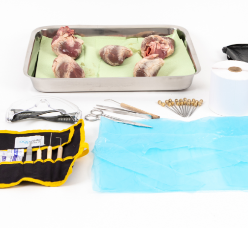 6. Dissection of a mass transport system.png