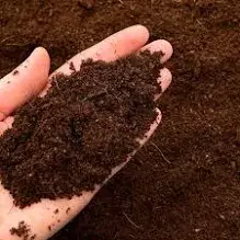 Compost