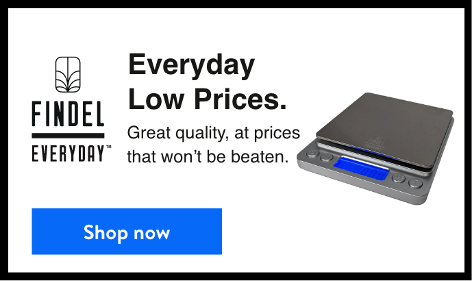 findel everyday updated.png