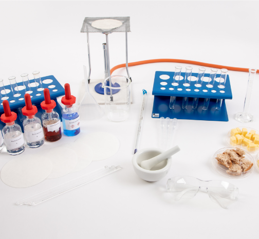 small-biology-food-tests-1.png