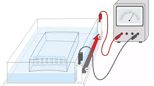 Gel Electrophoresis Experiment