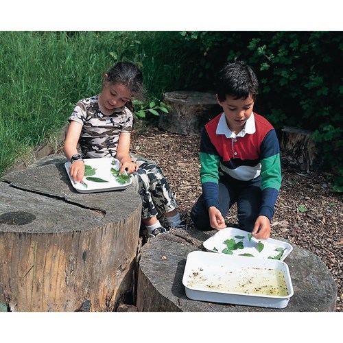 climate change inspired activites