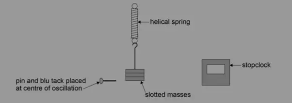 Picture2.jpg (1)